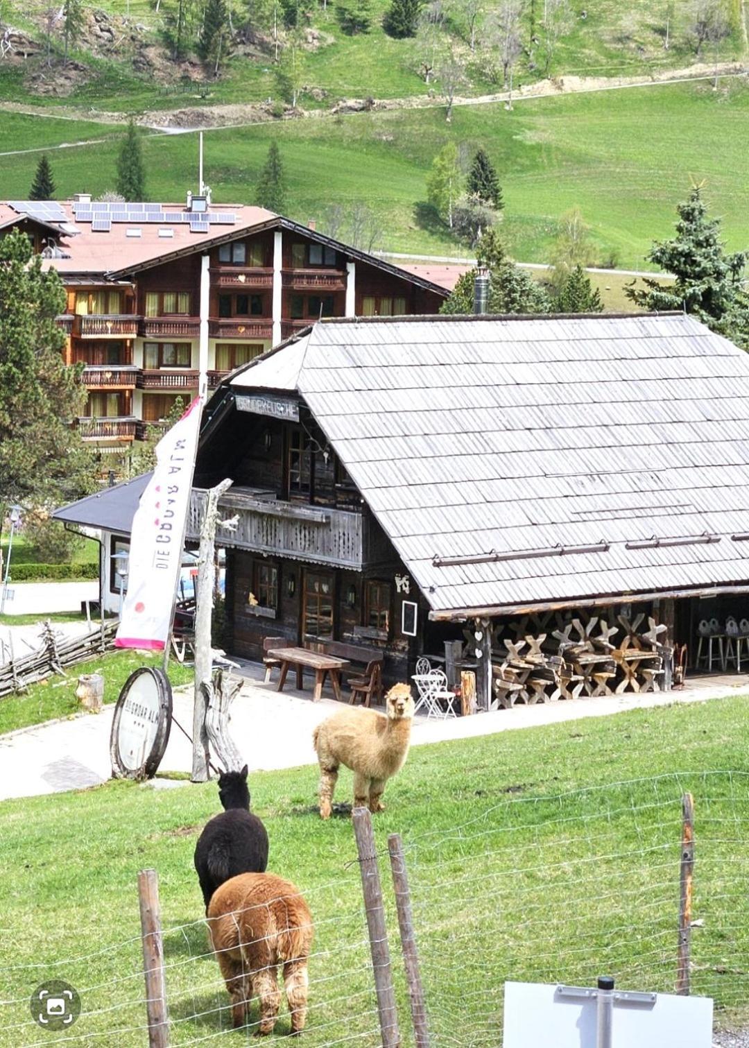 Mai-Brunn Alm Appartements, Maibrunnenweg 38 Bad Kleinkirchheim Eksteriør bilde